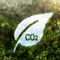 Carbon Offset - Regional bus & train - UWC RBC & High Atlas Foundation